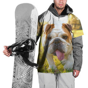 Накидка на куртку 3D с принтом Funny Dog в Екатеринбурге, 100% полиэстер |  | Тематика изображения на принте: dog | английский бульдог | пес | собака