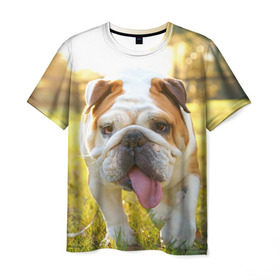 Мужская футболка 3D с принтом Funny Dog в Екатеринбурге, 100% полиэфир | прямой крой, круглый вырез горловины, длина до линии бедер | dog | английский бульдог | пес | собака