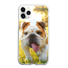 Чехол для iPhone 11 Pro матовый с принтом Funny Dog в Екатеринбурге, Силикон |  | Тематика изображения на принте: dog | английский бульдог | пес | собака