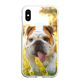 Чехол для iPhone XS Max матовый с принтом Funny Dog в Екатеринбурге, Силикон | Область печати: задняя сторона чехла, без боковых панелей | Тематика изображения на принте: dog | английский бульдог | пес | собака