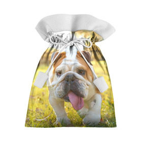 Подарочный 3D мешок с принтом Funny Dog в Екатеринбурге, 100% полиэстер | Размер: 29*39 см | Тематика изображения на принте: dog | английский бульдог | пес | собака