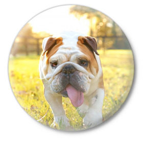 Значок с принтом Funny Dog в Екатеринбурге,  металл | круглая форма, металлическая застежка в виде булавки | Тематика изображения на принте: dog | английский бульдог | пес | собака