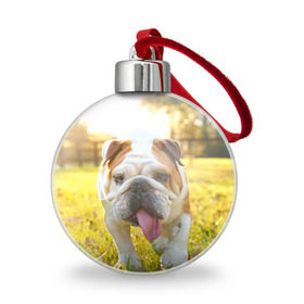 Ёлочный шар с принтом Funny Dog в Екатеринбурге, Пластик | Диаметр: 77 мм | dog | английский бульдог | пес | собака