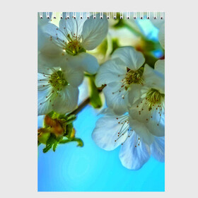 Скетчбук с принтом Цветочки на дереве в Екатеринбурге, 100% бумага
 | 48 листов, плотность листов — 100 г/м2, плотность картонной обложки — 250 г/м2. Листы скреплены сверху удобной пружинной спиралью | 3d | flower | весна | другие | красивые цветы | лето | поле | полевой цветок | прикольные | природа | текстуры | цветочки | цветы