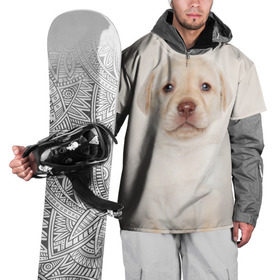 Накидка на куртку 3D с принтом Лабрадор в Екатеринбурге, 100% полиэстер |  | Тематика изображения на принте: dog | labrador | puppy | порода | собака | собачка | щенок