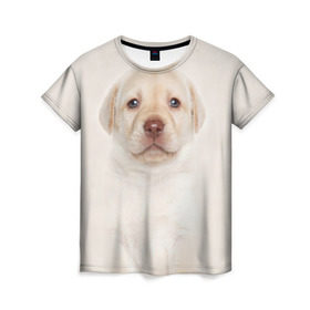 Женская футболка 3D с принтом Лабрадор в Екатеринбурге, 100% полиэфир ( синтетическое хлопкоподобное полотно) | прямой крой, круглый вырез горловины, длина до линии бедер | dog | labrador | puppy | порода | собака | собачка | щенок