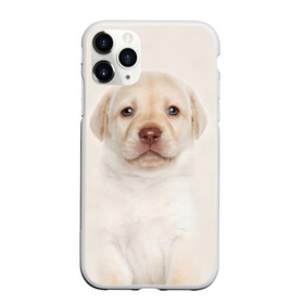 Чехол для iPhone 11 Pro Max матовый с принтом Лабрадор в Екатеринбурге, Силикон |  | dog | labrador | puppy | порода | собака | собачка | щенок