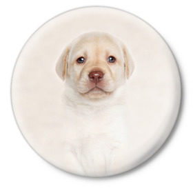 Значок с принтом Лабрадор в Екатеринбурге,  металл | круглая форма, металлическая застежка в виде булавки | dog | labrador | puppy | порода | собака | собачка | щенок