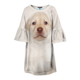 Детское платье 3D с принтом Лабрадор в Екатеринбурге, 100% полиэстер | прямой силуэт, чуть расширенный к низу. Круглая горловина, на рукавах — воланы | Тематика изображения на принте: dog | labrador | puppy | порода | собака | собачка | щенок