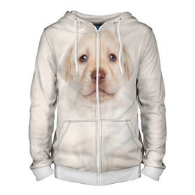 Мужская толстовка 3D на молнии с принтом Лабрадор в Екатеринбурге, 100% полиэстер | длина до линии бедра, манжеты и пояс оформлены мягкой тканевой резинкой, двухслойный капюшон со шнурком для регулировки, спереди молния, по бокам два кармана | dog | labrador | puppy | порода | собака | собачка | щенок