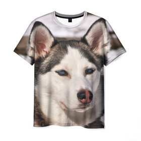 Мужская футболка 3D с принтом Хаски в Екатеринбурге, 100% полиэфир | прямой крой, круглый вырез горловины, длина до линии бедер | Тематика изображения на принте: dog | лабрадор | мопс | пес | собака | такса | хаски | щеночек