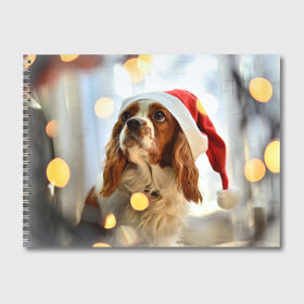 Альбом для рисования с принтом Рождество в Екатеринбурге, 100% бумага
 | матовая бумага, плотность 200 мг. | dog | кавалер кинг чарльз спаниель | новый год | пес | рождество | собака