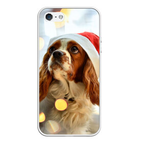 Чехол для iPhone 5/5S матовый с принтом Рождество в Екатеринбурге, Силикон | Область печати: задняя сторона чехла, без боковых панелей | dog | кавалер кинг чарльз спаниель | новый год | пес | рождество | собака