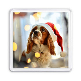 Магнит 55*55 с принтом Рождество в Екатеринбурге, Пластик | Размер: 65*65 мм; Размер печати: 55*55 мм | dog | кавалер кинг чарльз спаниель | новый год | пес | рождество | собака