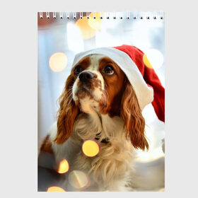 Скетчбук с принтом Рождество в Екатеринбурге, 100% бумага
 | 48 листов, плотность листов — 100 г/м2, плотность картонной обложки — 250 г/м2. Листы скреплены сверху удобной пружинной спиралью | dog | кавалер кинг чарльз спаниель | новый год | пес | рождество | собака