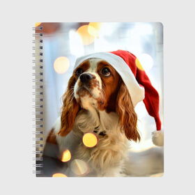 Тетрадь с принтом Рождество в Екатеринбурге, 100% бумага | 48 листов, плотность листов — 60 г/м2, плотность картонной обложки — 250 г/м2. Листы скреплены сбоку удобной пружинной спиралью. Уголки страниц и обложки скругленные. Цвет линий — светло-серый
 | dog | кавалер кинг чарльз спаниель | новый год | пес | рождество | собака