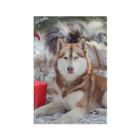 Обложка для паспорта матовая кожа с принтом Хаски в Екатеринбурге, натуральная матовая кожа | размер 19,3 х 13,7 см; прозрачные пластиковые крепления | dog | лабрадор | мопс | пес | собака | такса | хаски | щеночек