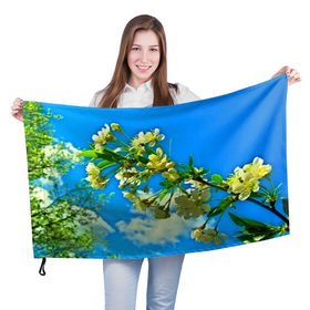 Флаг 3D с принтом Вишня в Екатеринбурге, 100% полиэстер | плотность ткани — 95 г/м2, размер — 67 х 109 см. Принт наносится с одной стороны | 3d | весна | другие | красивые цветы | лето | поле | полевой цветок | прикольные | природа | текстуры | цветочки | цветы