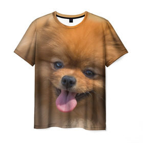 Мужская футболка 3D с принтом Милашка в Екатеринбурге, 100% полиэфир | прямой крой, круглый вырез горловины, длина до линии бедер | dog | пес | померанский | собака | шпиц | щеночек