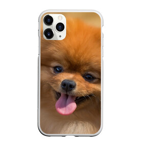 Чехол для iPhone 11 Pro матовый с принтом Милашка в Екатеринбурге, Силикон |  | dog | пес | померанский | собака | шпиц | щеночек
