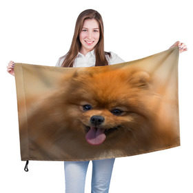 Флаг 3D с принтом Милашка в Екатеринбурге, 100% полиэстер | плотность ткани — 95 г/м2, размер — 67 х 109 см. Принт наносится с одной стороны | dog | пес | померанский | собака | шпиц | щеночек