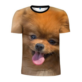 Мужская футболка 3D спортивная с принтом Милашка в Екатеринбурге, 100% полиэстер с улучшенными характеристиками | приталенный силуэт, круглая горловина, широкие плечи, сужается к линии бедра | dog | пес | померанский | собака | шпиц | щеночек