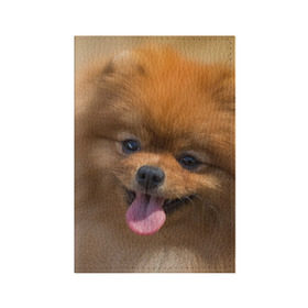 Обложка для паспорта матовая кожа с принтом Милашка в Екатеринбурге, натуральная матовая кожа | размер 19,3 х 13,7 см; прозрачные пластиковые крепления | Тематика изображения на принте: dog | пес | померанский | собака | шпиц | щеночек