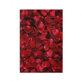 Обложка для паспорта матовая кожа с принтом Лепестки красных роз в Екатеринбурге, натуральная матовая кожа | размер 19,3 х 13,7 см; прозрачные пластиковые крепления | красный | лепестки | природа | растения | розы | текстура | цветы