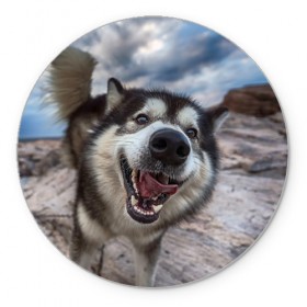 Коврик круглый с принтом Smile в Екатеринбурге, резина и полиэстер | круглая форма, изображение наносится на всю лицевую часть | dog | лабрадор | мопс | пес | собака | такса | хаски | щеночек