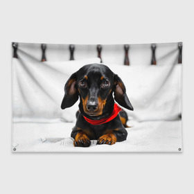 Флаг-баннер с принтом Пёсик в Екатеринбурге, 100% полиэстер | размер 67 х 109 см, плотность ткани — 95 г/м2; по краям флага есть четыре люверса для крепления | dog | пес | собака | такса | щеночек