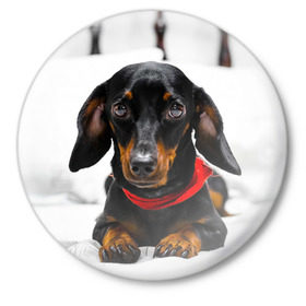 Значок с принтом Пёсик в Екатеринбурге,  металл | круглая форма, металлическая застежка в виде булавки | dog | пес | собака | такса | щеночек