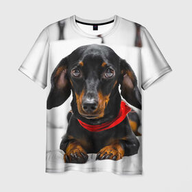 Мужская футболка 3D с принтом Пёсик в Екатеринбурге, 100% полиэфир | прямой крой, круглый вырез горловины, длина до линии бедер | Тематика изображения на принте: dog | пес | собака | такса | щеночек