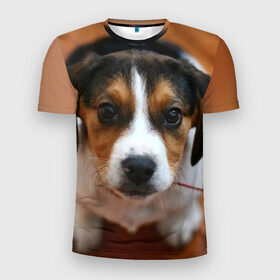 Мужская футболка 3D спортивная с принтом Щеночек в Екатеринбурге, 100% полиэстер с улучшенными характеристиками | приталенный силуэт, круглая горловина, широкие плечи, сужается к линии бедра | dog | бигль | пес | собака | щеночек