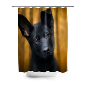 Штора 3D для ванной с принтом Doggy в Екатеринбурге, 100% полиэстер | плотность материала — 100 г/м2. Стандартный размер — 146 см х 180 см. По верхнему краю — пластиковые люверсы для креплений. В комплекте 10 пластиковых колец | dog | овчарка | пес | собака | черная овчарка | щеночек