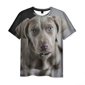 Мужская футболка 3D с принтом Puppy в Екатеринбурге, 100% полиэфир | прямой крой, круглый вырез горловины, длина до линии бедер | dog | веймаранер | пес | собака | щеночек