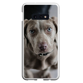 Чехол для Samsung S10E с принтом Puppy в Екатеринбурге, Силикон | Область печати: задняя сторона чехла, без боковых панелей | dog | веймаранер | пес | собака | щеночек