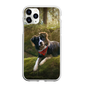 Чехол для iPhone 11 Pro матовый с принтом Лес в Екатеринбурге, Силикон |  | Тематика изображения на принте: dog | бордер колли | пес | собака
