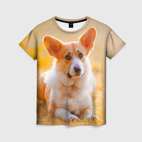 Женская футболка 3D с принтом Взгляд в Екатеринбурге, 100% полиэфир ( синтетическое хлопкоподобное полотно) | прямой крой, круглый вырез горловины, длина до линии бедер | dog | вельш корги | корги | пес | собака