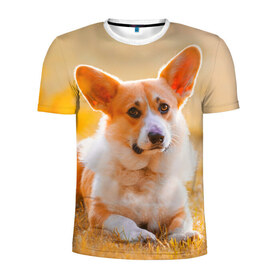 Мужская футболка 3D спортивная с принтом Взгляд в Екатеринбурге, 100% полиэстер с улучшенными характеристиками | приталенный силуэт, круглая горловина, широкие плечи, сужается к линии бедра | dog | вельш корги | корги | пес | собака