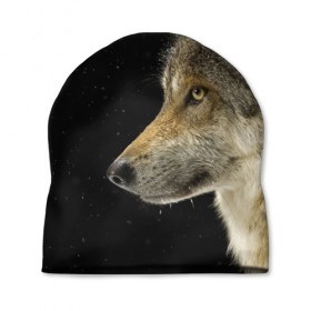 Шапка 3D с принтом Волк и звезды в Екатеринбурге, 100% полиэстер | универсальный размер, печать по всей поверхности изделия | животные | зверь | серый | хищник