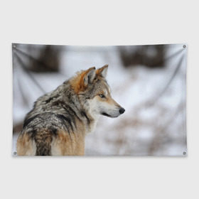 Флаг-баннер с принтом Хозяин леса в Екатеринбурге, 100% полиэстер | размер 67 х 109 см, плотность ткани — 95 г/м2; по краям флага есть четыре люверса для крепления | волк | серый