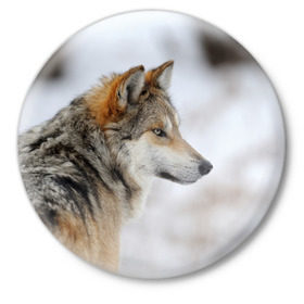 Значок с принтом Хозяин леса в Екатеринбурге,  металл | круглая форма, металлическая застежка в виде булавки | волк | серый