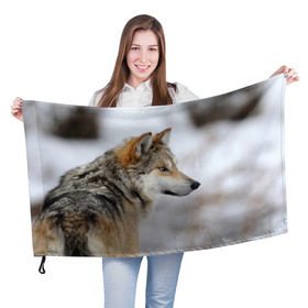 Флаг 3D с принтом Хозяин леса в Екатеринбурге, 100% полиэстер | плотность ткани — 95 г/м2, размер — 67 х 109 см. Принт наносится с одной стороны | волк | серый