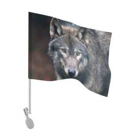 Флаг для автомобиля с принтом Серый волк в Екатеринбурге, 100% полиэстер | Размер: 30*21 см | аука | бирюк | волк | волчара | волчица | волчок | глаза | животное | животные | зверь | зеленые | койот | лес | млекопитающее | природа | санитар леса | серый | уши | фауна | хищник | черный | шакал