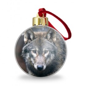 Ёлочный шар с принтом Серый волк в Екатеринбурге, Пластик | Диаметр: 77 мм | аука | бирюк | волк | волчара | волчица | волчок | глаза | животное | животные | зверь | зеленые | койот | лес | млекопитающее | природа | санитар леса | серый | уши | фауна | хищник | черный | шакал