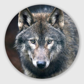 Коврик круглый с принтом Серый волк в Екатеринбурге, резина и полиэстер | круглая форма, изображение наносится на всю лицевую часть | аука | бирюк | волк | волчара | волчица | волчок | глаза | животное | животные | зверь | зеленые | койот | лес | млекопитающее | природа | санитар леса | серый | уши | фауна | хищник | черный | шакал