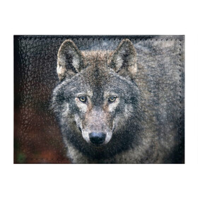Обложка для студенческого билета с принтом Серый волк в Екатеринбурге, натуральная кожа | Размер: 11*8 см; Печать на всей внешней стороне | Тематика изображения на принте: аука | бирюк | волк | волчара | волчица | волчок | глаза | животное | животные | зверь | зеленые | койот | лес | млекопитающее | природа | санитар леса | серый | уши | фауна | хищник | черный | шакал