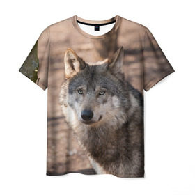 Мужская футболка 3D с принтом Серый волк в Екатеринбурге, 100% полиэфир | прямой крой, круглый вырез горловины, длина до линии бедер | аука | бирюк | волк | волчара | волчица | волчок | глаза | животное | животные | зверь | зеленые | койот | лес | млекопитающее | природа | санитар леса | серый | уши | фауна | хищник | черный | шакал
