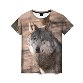 Женская футболка 3D с принтом Серый волк в Екатеринбурге, 100% полиэфир ( синтетическое хлопкоподобное полотно) | прямой крой, круглый вырез горловины, длина до линии бедер | аука | бирюк | волк | волчара | волчица | волчок | глаза | животное | животные | зверь | зеленые | койот | лес | млекопитающее | природа | санитар леса | серый | уши | фауна | хищник | черный | шакал