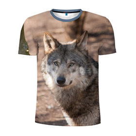 Мужская футболка 3D спортивная с принтом Серый волк в Екатеринбурге, 100% полиэстер с улучшенными характеристиками | приталенный силуэт, круглая горловина, широкие плечи, сужается к линии бедра | аука | бирюк | волк | волчара | волчица | волчок | глаза | животное | животные | зверь | зеленые | койот | лес | млекопитающее | природа | санитар леса | серый | уши | фауна | хищник | черный | шакал